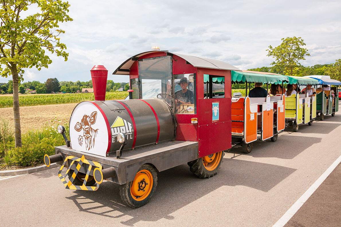 Sommerfest am Sonnenweiher